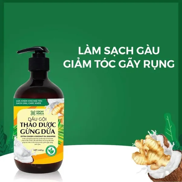 dau-xa-thao-duoc-gung-dua-cocayhoala-ginger-conditioner-440g-2