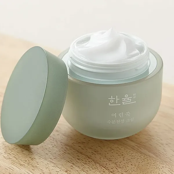 kem-duong-am-hanyul-pure-artemisia-calming-water-cream-50ml-3