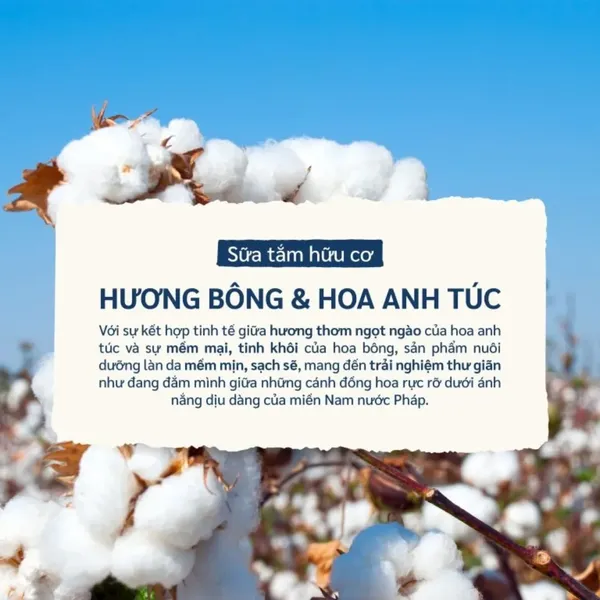 sua-tam-huu-co-le-petit-marseillais-250ml-8