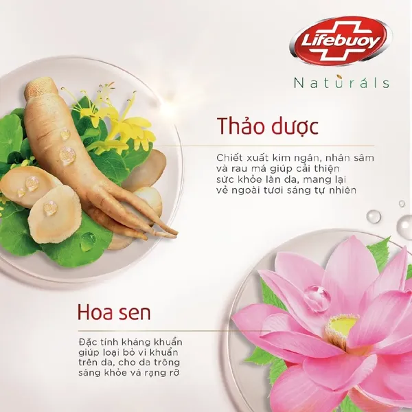 sua-tam-duong-da-lifebuoy-gel-5