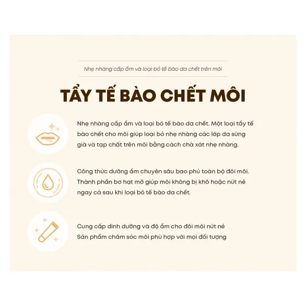 fmgt-kem-tay-te-bao-chet-moi-the-face-shop-lip-scrub-10g-3