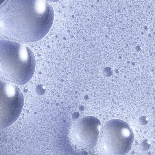 dau-goi-christophe-robin-baby-blonde-250ml-2