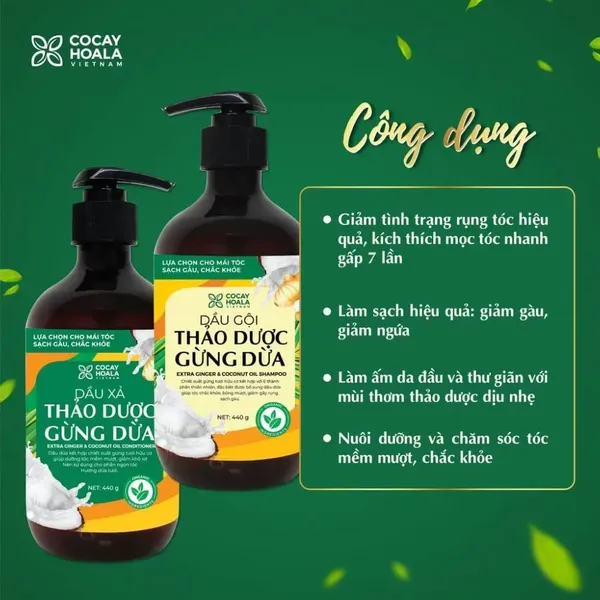 dau-xa-thao-duoc-gung-dua-cocayhoala-ginger-conditioner-440g-3