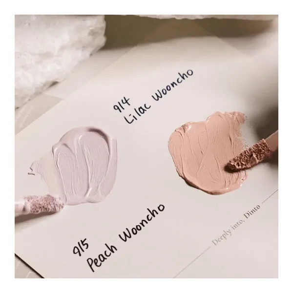 kem-che-khuyet-diem-dinto-wooncho-light-veil-concealer-45g-6