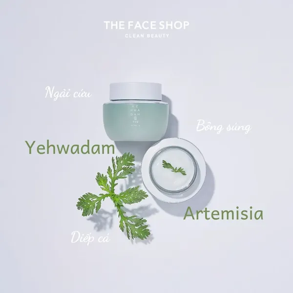 kem-duong-am-lam-diu-da-yehwadam-artemisia-soothing-moisturizing-cream-120ml-2