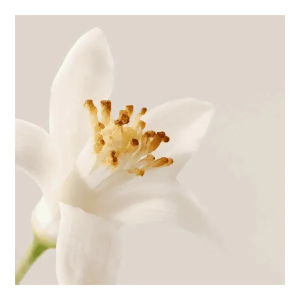kem-duong-am-payot-lam-diu-da-n2-soothing-minimalist-cream-50ml-3