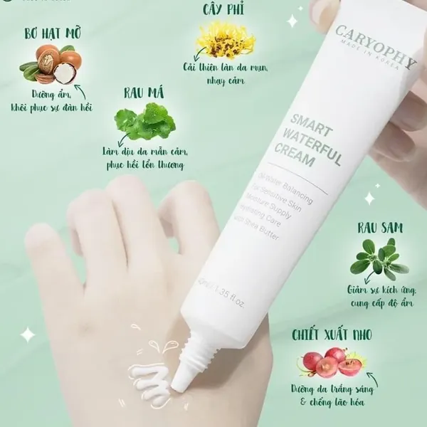 kem-duong-am-phuc-hoi-da-caryophy-smart-waterful-cream-40ml-4