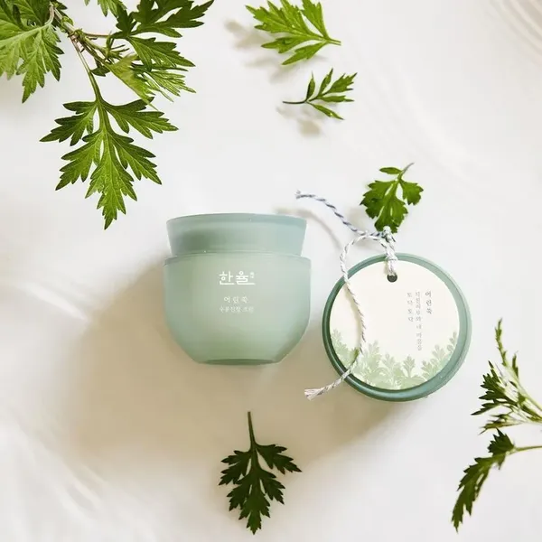 kem-duong-am-hanyul-pure-artemisia-calming-water-cream-50ml-5
