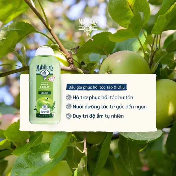 dau-goi-tao-oliu-le-petit-marseillais-300ml-3