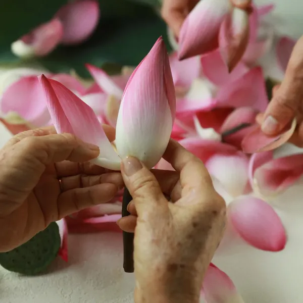 nuoc-can-bang-cocoon-hoa-sen-hau-giang-lotus-soothing-toner-7