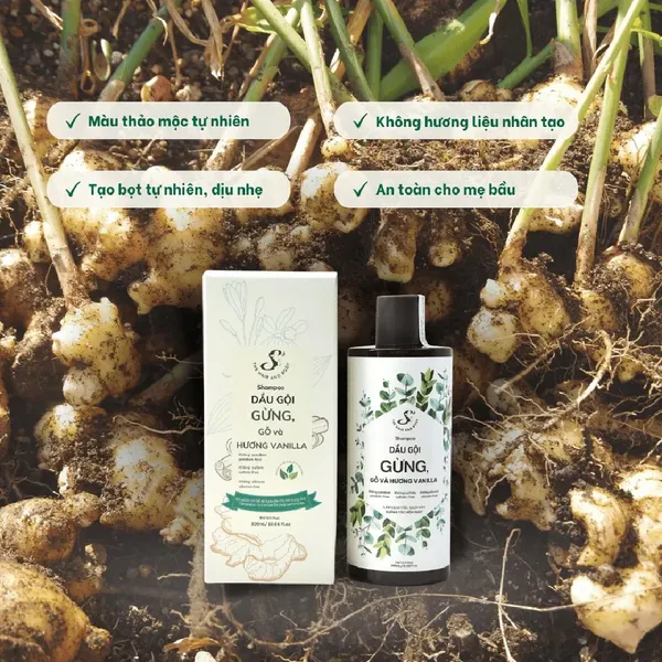 dau-goi-gung-s-the-hair-and-body-ginger-300ml-3