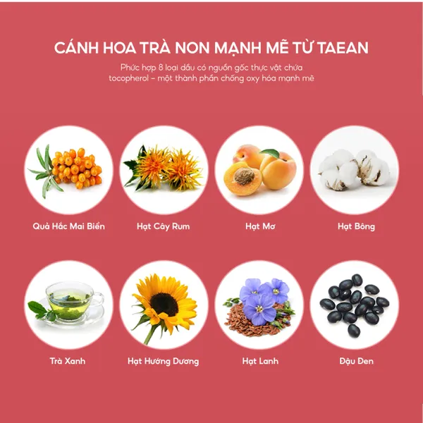 bo-duong-yehwadam-cai-thien-da-bi-xin-mau-young-camellia-first-serum-special-set-set-2sp-5