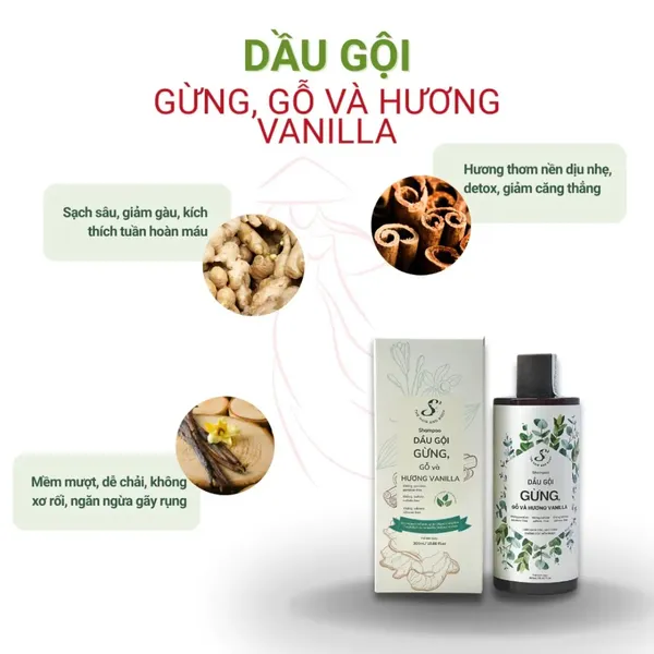 dau-goi-gung-s-the-hair-and-body-ginger-300ml-2