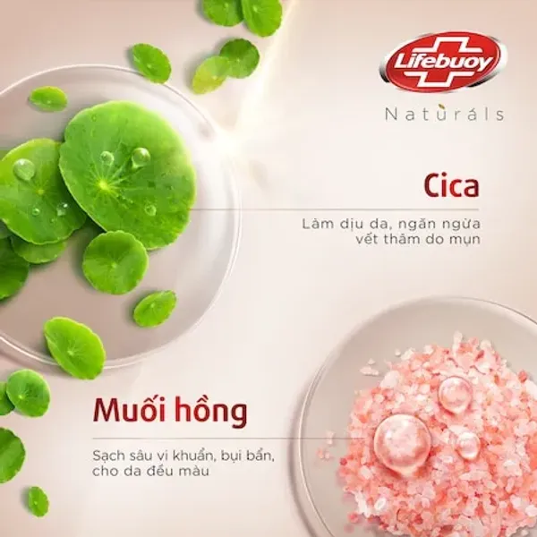 sua-tam-lifebuoy-tram-tra-va-muoi-hong-detox-ngua-tham-gel-pinksalt-800g-3