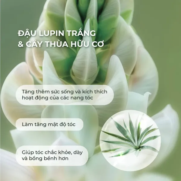 dau-xa-yves-rocher-giam-toc-gay-rung-anti-hair-loss-2