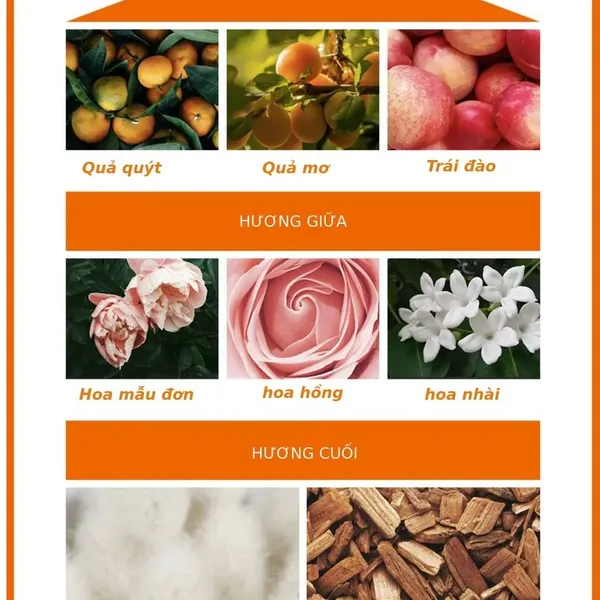 tinh-chat-the-face-shop-phuc-hoi-toc-hu-ton-essential-damage-care-hair-serum-150ml-4