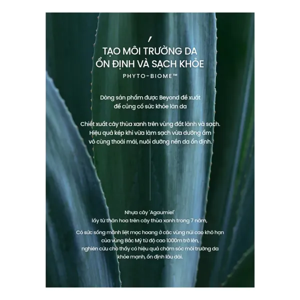 dau-tay-trang-beyond-phytoganic-cleansing-oil-200ml-6