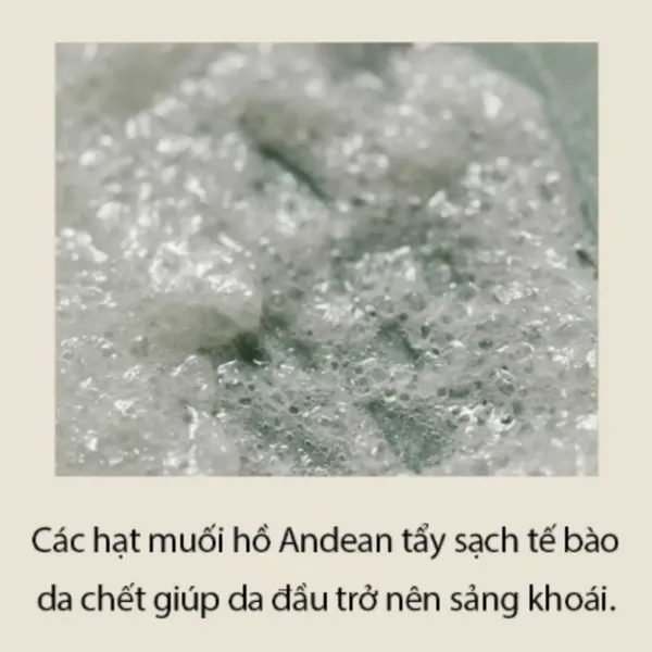 tay-te-bao-chet-da-dau-aromatica-rosemary-scalp-scrub-165g-3