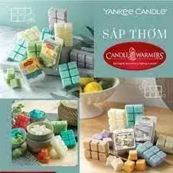 sap-thom-khu-mui-huong-trai-cay-nhiet-doi-yankee-candle-warmer-melted-wax-tropical-citrus-2