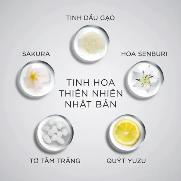 dau-goi-ngan-rung-toc-cho-da-dau-thuong-den-kho-michiru-conditioner-for-normal-to-dry-scalp-180g-4