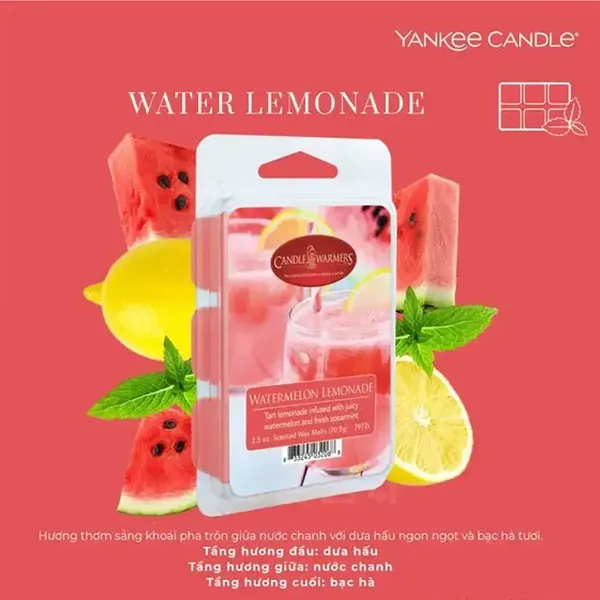 sap-thom-khu-mui-yankee-candle-warmer-melted-wax-watermelon-2
