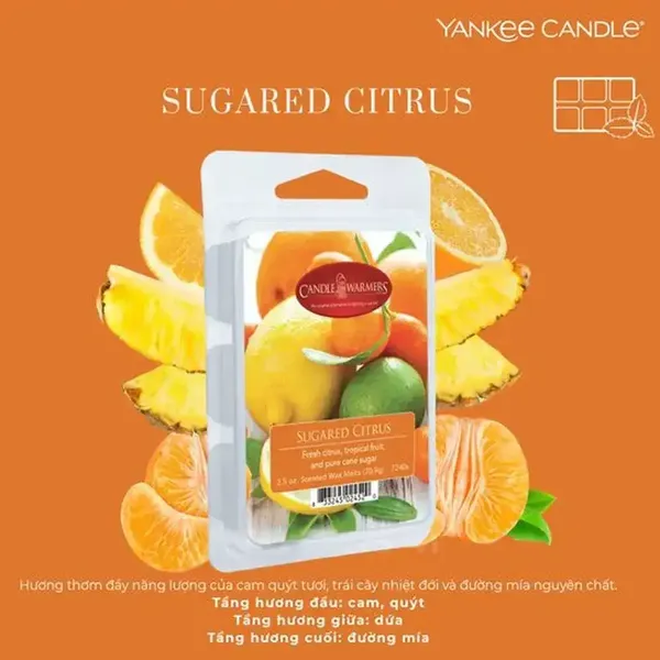 sap-thom-khu-mui-huong-cam-quyt-yankee-candle-warmer-melted-wax-sugared-citrus-2