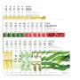 set-26-mat-na-cap-nuoc-the-face-shop-2