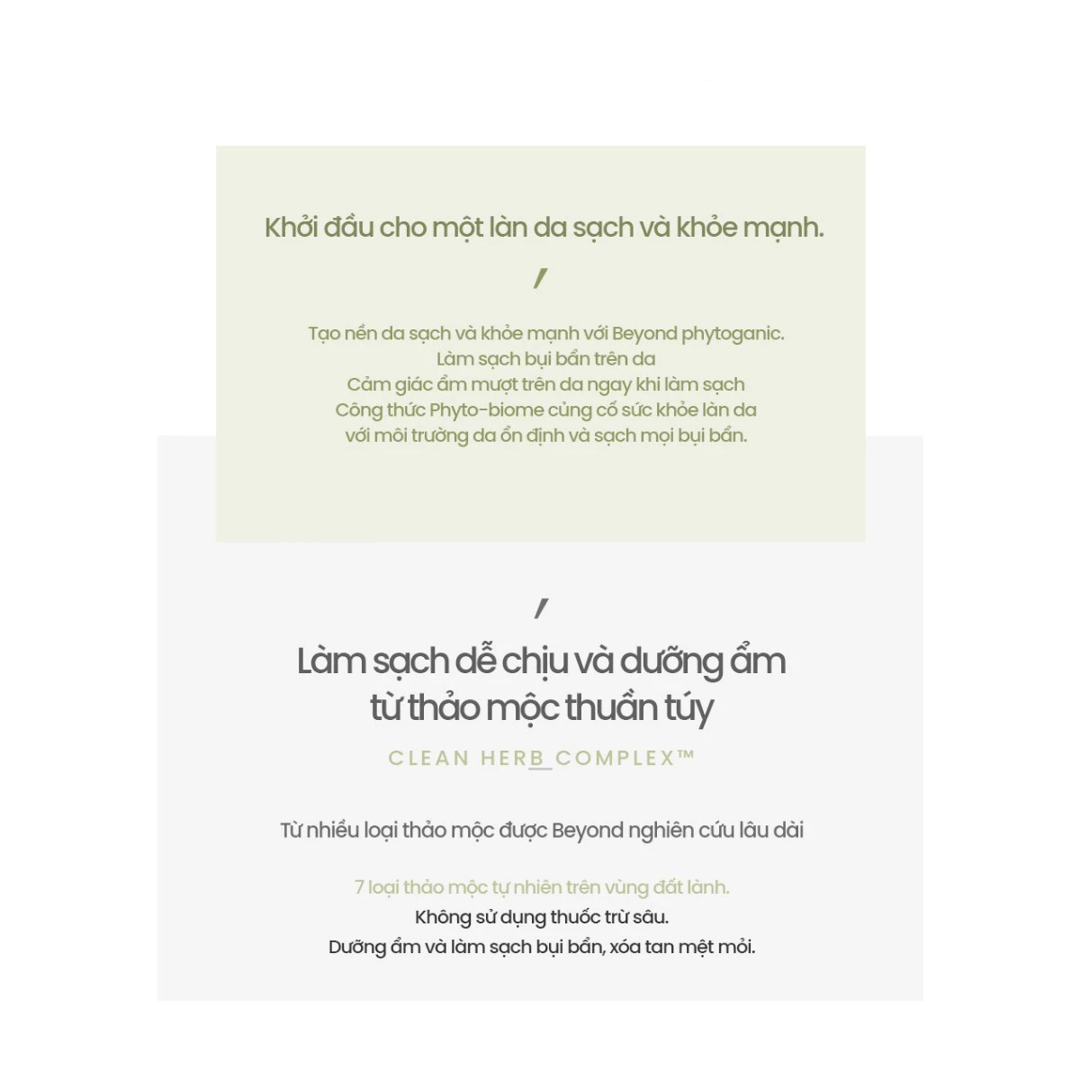 bbx/common/897f17ab-bc7c-490d-b07a-42159f938c95.webp